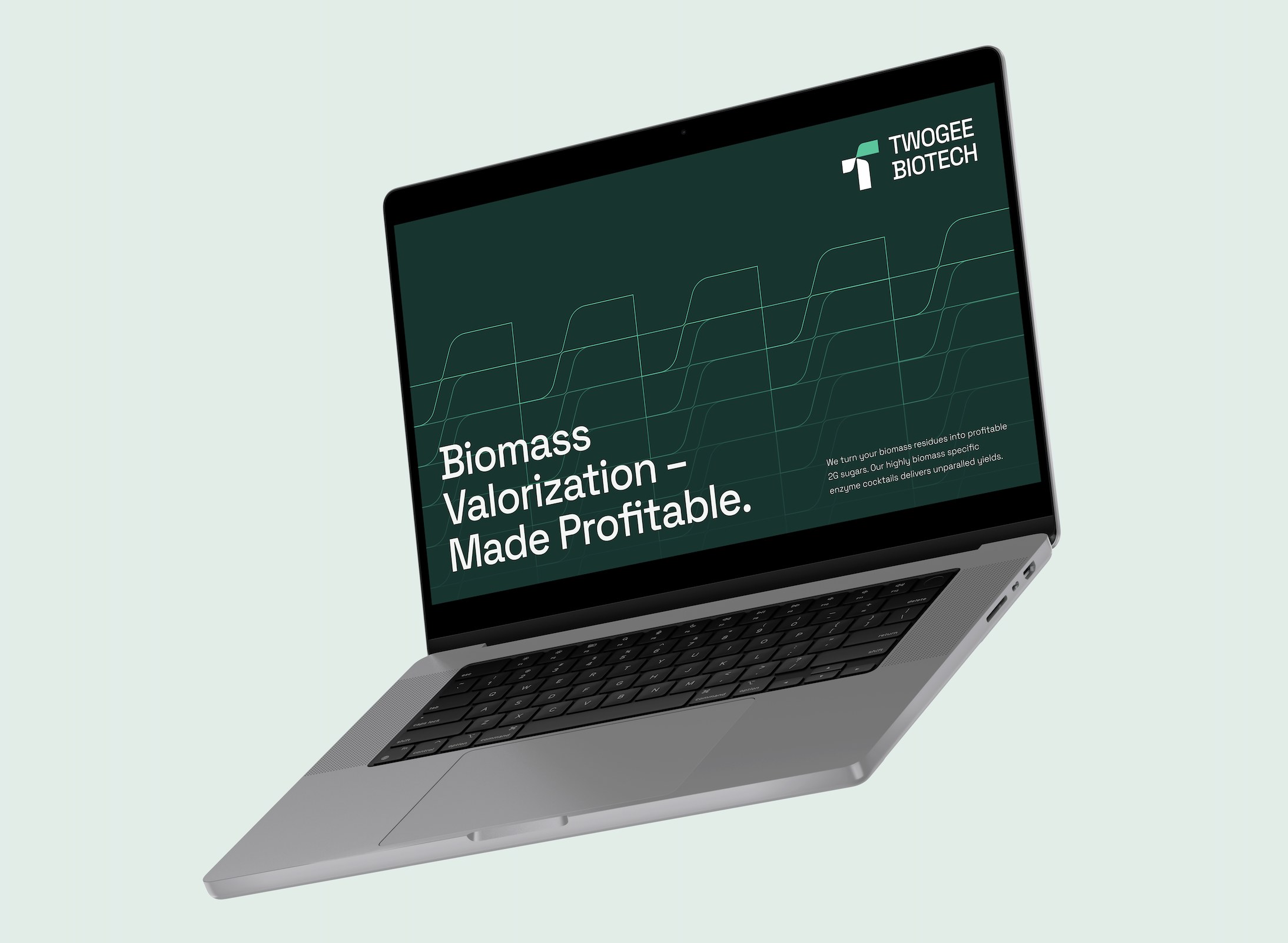 New Twogee website on a laptop